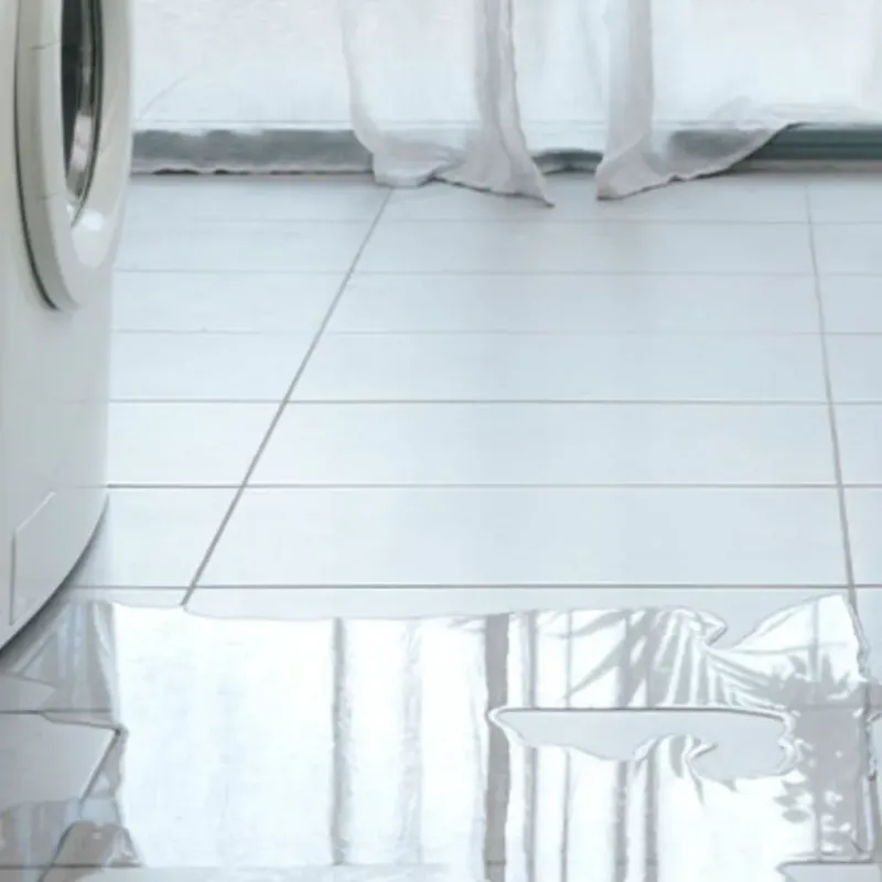 Appliance Leak Cleanup in Port Ludlow, WA