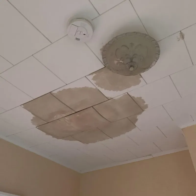 Ceiling Water Damage Repair in Port Ludlow, WA